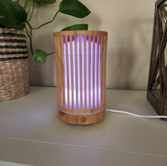 Chic Bamboo Diffuser - Picture 2 of 5
